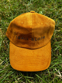 Ladies corduroy cap