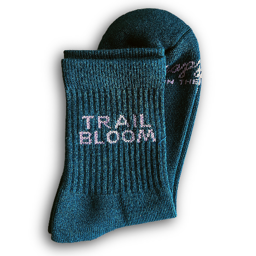 women's adventure socks